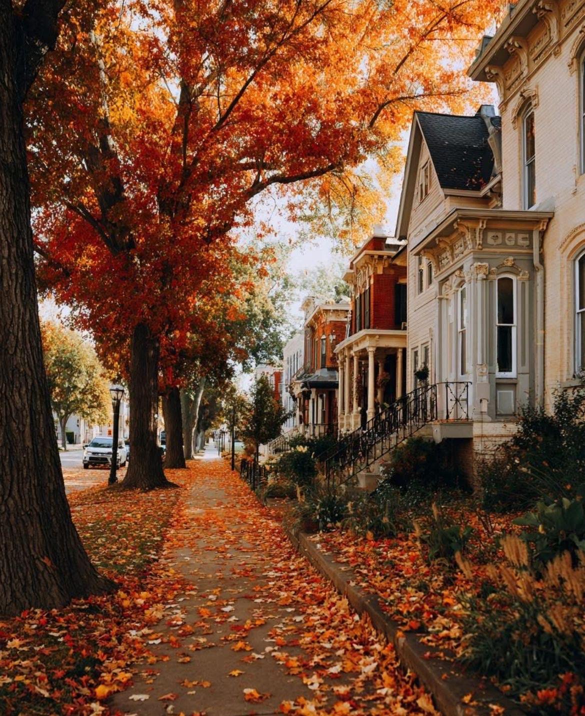 Fall 🍂